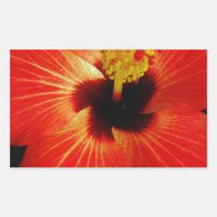 Bright Red Orange  Hibiscus Flower Rectangular Sticker