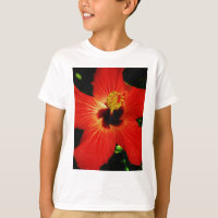 Bright Red Orange Hibiscus Flower