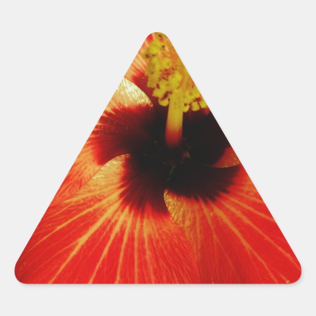 Bright Red Orange  Hibiscus Flower Triangle Sticker (Front)