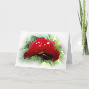Bright red pansy card