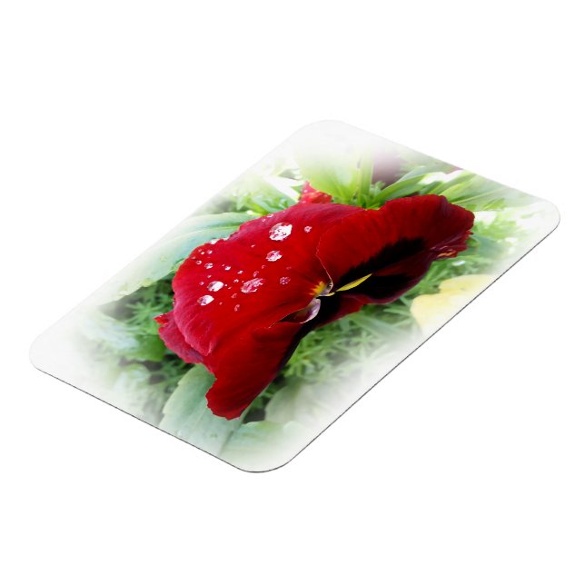 Bright red pansy magnet (Left Side)