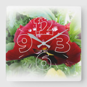 Bright red pansy square wall clock