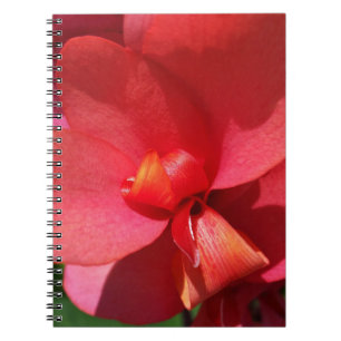 bright red petals spiral notebook