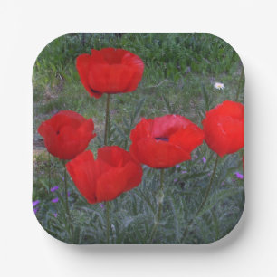 Bright Red Poppies Paper Plate