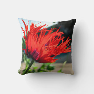 Bright Red Poppy Flower Cushion