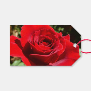Bright Red Rose Flower Beautiful Floral Gift Tags