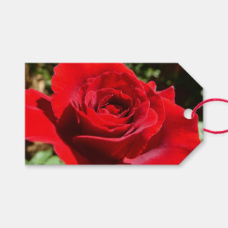 Bright Red Rose Flower Beautiful Floral Gift Tags