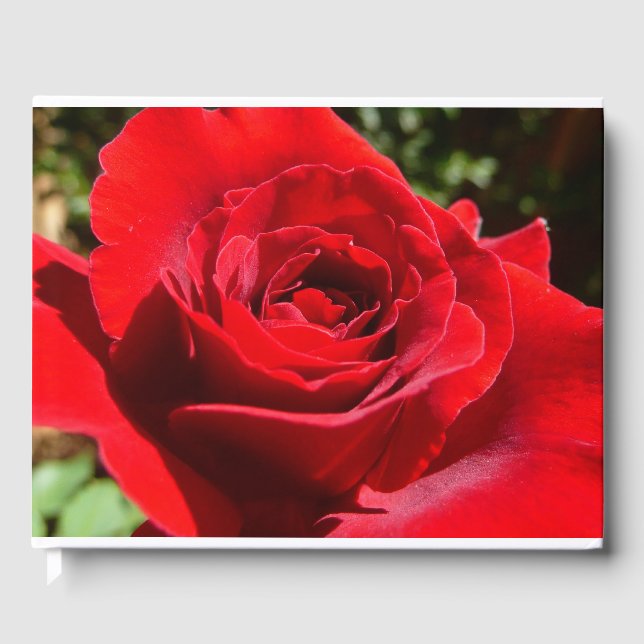 Bright Red Rose Flower Beautiful Floral Guest Book (Front)