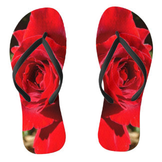 Bright Red Rose Flower Beautiful Floral Jandals