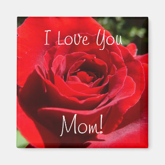 Bright Red Rose Flower Beautiful Floral Magnet