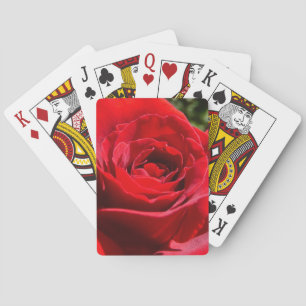 Bright Red Rose Flower Beautiful Floral Playing Cards