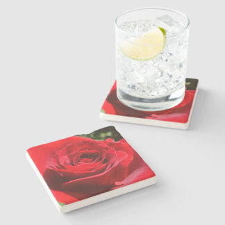 Bright Red Rose Flower Beautiful Floral Stone Coaster