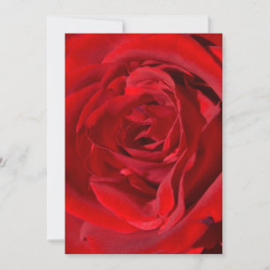 Bright Red Rose Invitations