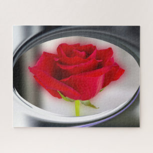 Bright red rose jigsaw puzzle