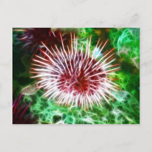 Bright Red Sea Urchin Postcard