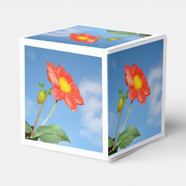 Bright Red Strawberry Blossom Flower Favour Box (Back Side)