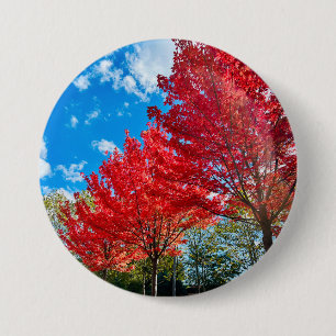 Bright Red Tree Leaves In Autumn 7.5 Cm Round Badge