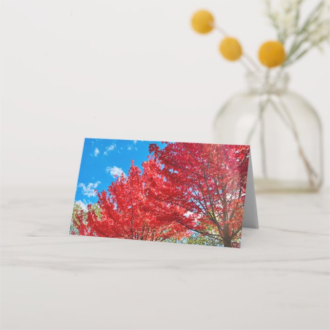 Bright Red Tree Leaves In Autumn Place Card (Front)