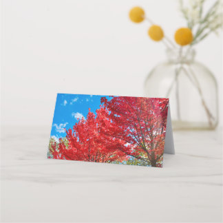 Bright Red Tree Leaves In Autumn Place Card