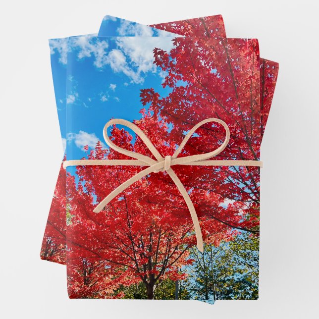 Bright Red Tree Leaves In Autumn Wrapping Paper Sheet (In situ)