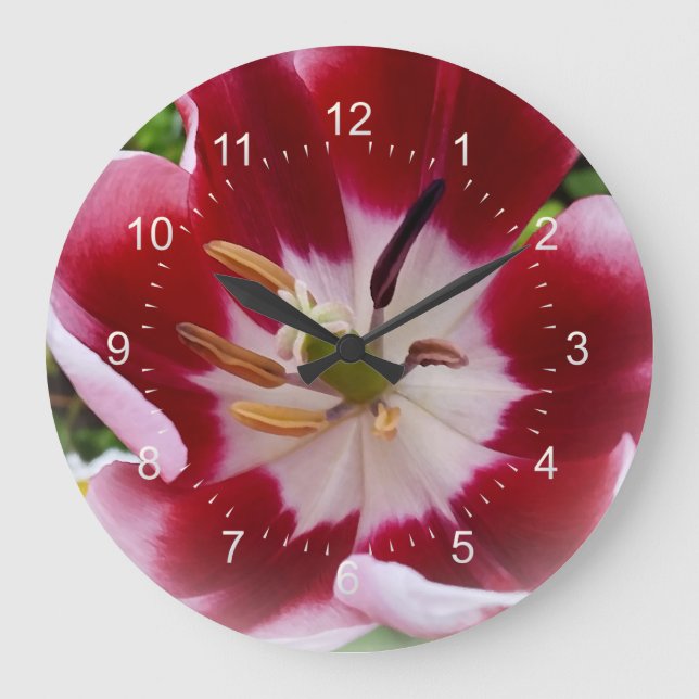 bright red tulip large clock (Front)