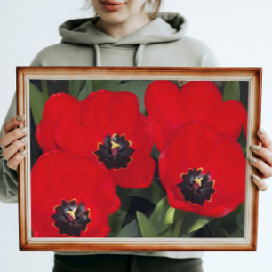 Bright Red Tulips Floral Photographic Glossy Poster