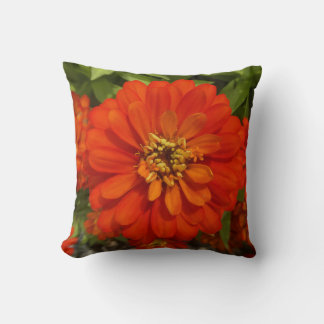 Bright Red Zinnia Trend Cushion