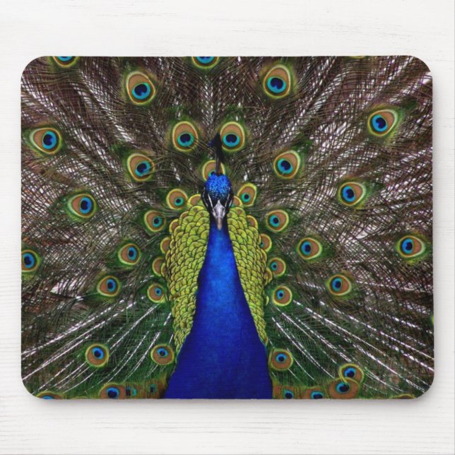Bright regal peacock bird feather animal photo mouse pad (Front)
