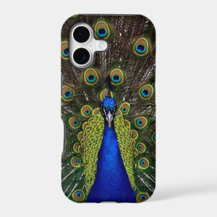 Bright regal peacock photo bird nature print