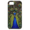 Bright regal peacock photo bird nature print