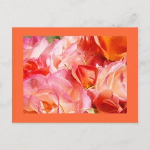 Bright Rose Bouquet postcards Roses Flowers Floral