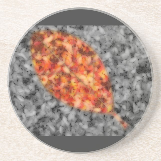 Bright Shadows Coaster (Front)