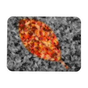 Bright Shadows Flexible Magnet