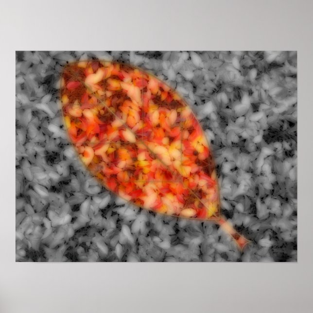 Bright Shadows Print (Front)