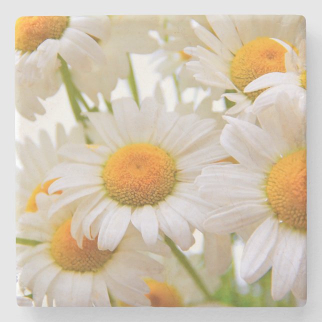 Bright Summer Daisies Flowers Stone Coaster (Front)