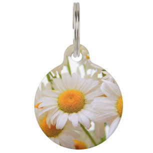 Bright Summer Daisies Pet Tag