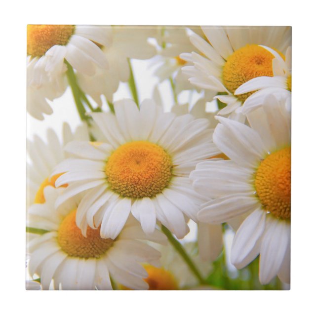 Bright Summer Daisies Photo Tile (Front)