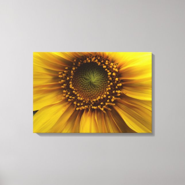 Bright Sun Canvas Print (Front)
