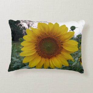 Bright Sunflower Accent Pillow for Cosy Home Decor