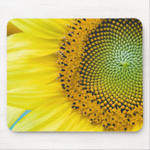 Bright Sunflower Mouse Pad