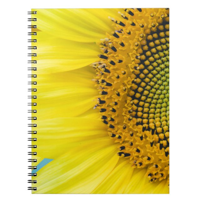 Bright Sunflower Notebook (Front)