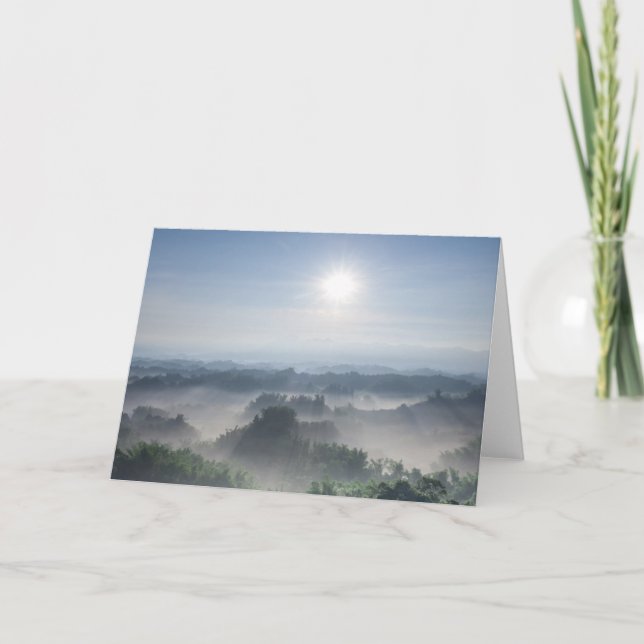 Bright Sunlight in the Bamboo Trees | Taiwan Card (Front)