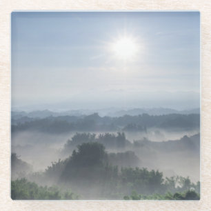 Bright Sunlight in the Bamboo Trees   Taiwan Glass Coaster