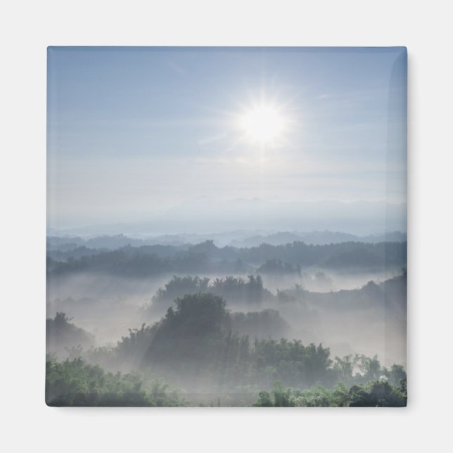 Bright Sunlight in the Bamboo Trees | Taiwan Magnet (Front)