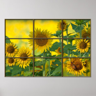 Bright Sunshiny Day Poster