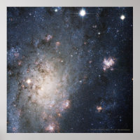 Bright Supernova in NGC 2403 12x12 (13x13)