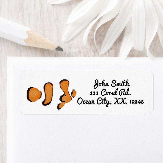 Bright Tropical Clown Fish (Insitu)