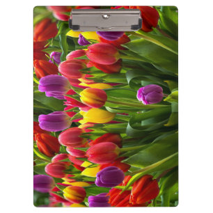 Bright Tulips Clipboard