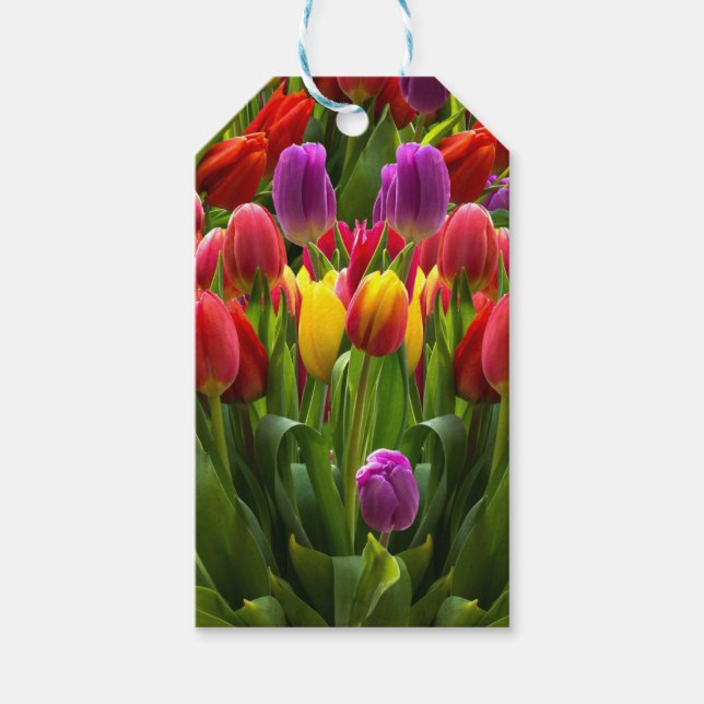 Bright Tulips Gift Tags (Front)
