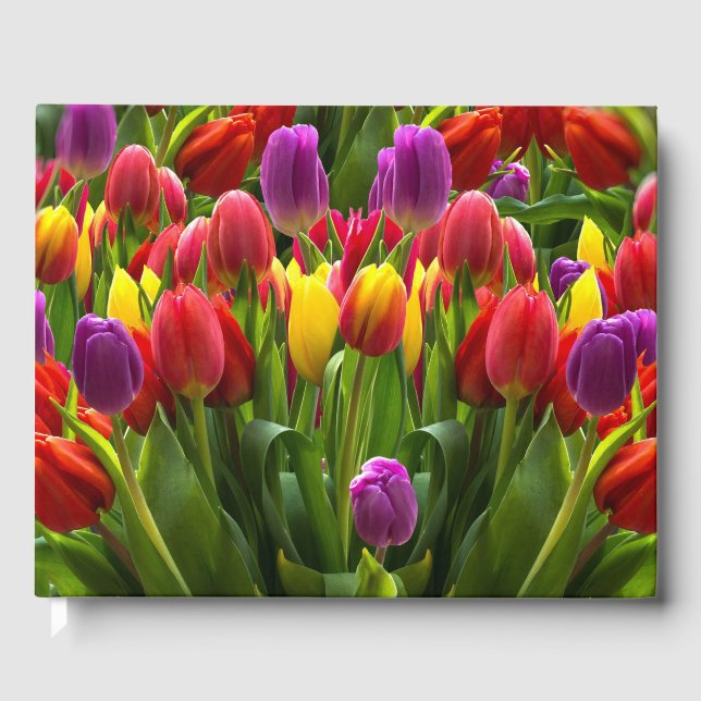 Bright Tulips Guest Book (Front)